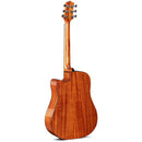 Violão Waldman Eletro-Acústico Aço DCEX1841