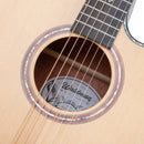 Violão Waldman Eletro-Acústico Aço DCEX1841