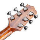 Violão Waldman Eletro-Acústico Aço DCEX1841