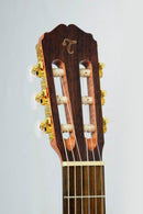 Violão Takamine Eletro-Acústico Nylon GC6-CE