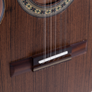 Viola Caipira Rozini Eletro-Acústica Cinturada RV216ATF