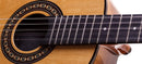Viola Caipira Rozini E-Acústica Cinturada RV154ATN