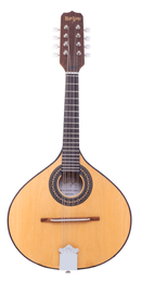 Bandolim Rozini Eletro-Acústico RB21ELN