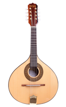 Bandolim Rozini Eletro-Acústico RB22ELN