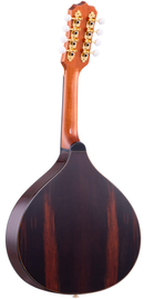 Bandolim Rozini Eletro-Acústico RB22ELN