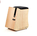 Cajon FSA E-Acúst Gibão NT FGB6500