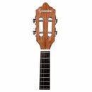 Cavaco Giannini Acústico CS34 SPG
