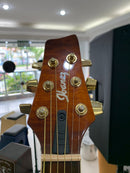 Guitarra Híbrida Ibanez MSC-380 - Produto de Showroom