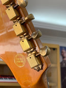 Guitarra SX Stratocaster SSS SKY - Produto de Showroom