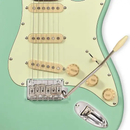 Guitarra Tagima Classic Strato T635