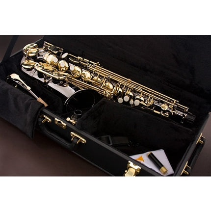 Saxofone Alto Eagle SA500 BG