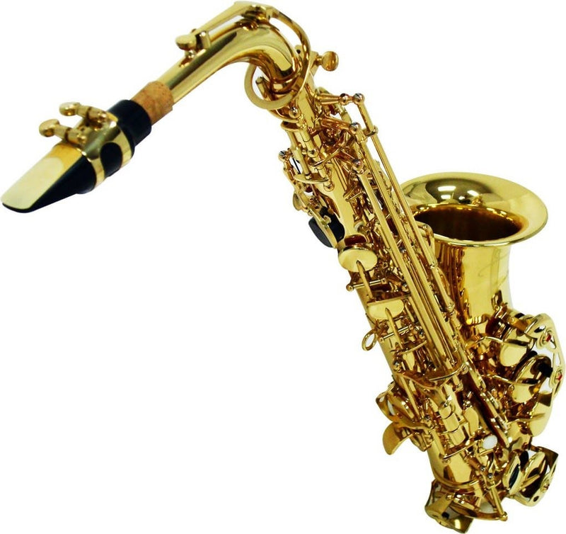 Saxofone Alto Shelter SGFT6430L Lacquer GD