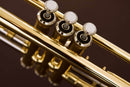 Trompete Standard Eagle TR504 Lacquer