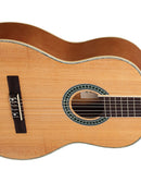 Violão Tagima Acústico Nylon Paraty NS