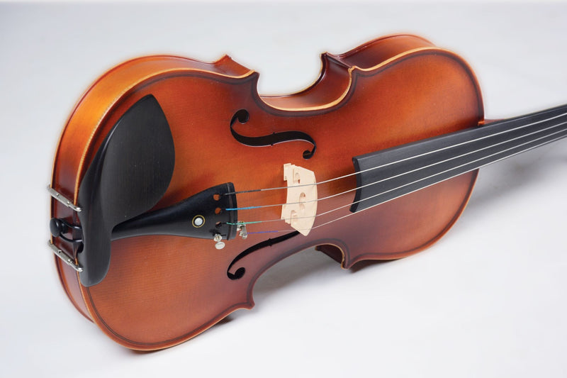Violino Vivace 4/4 Acústico Beethoven BE44S NS