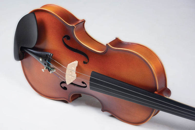 Violino Vivace 4/4 Acústico Beethoven BE44S NS